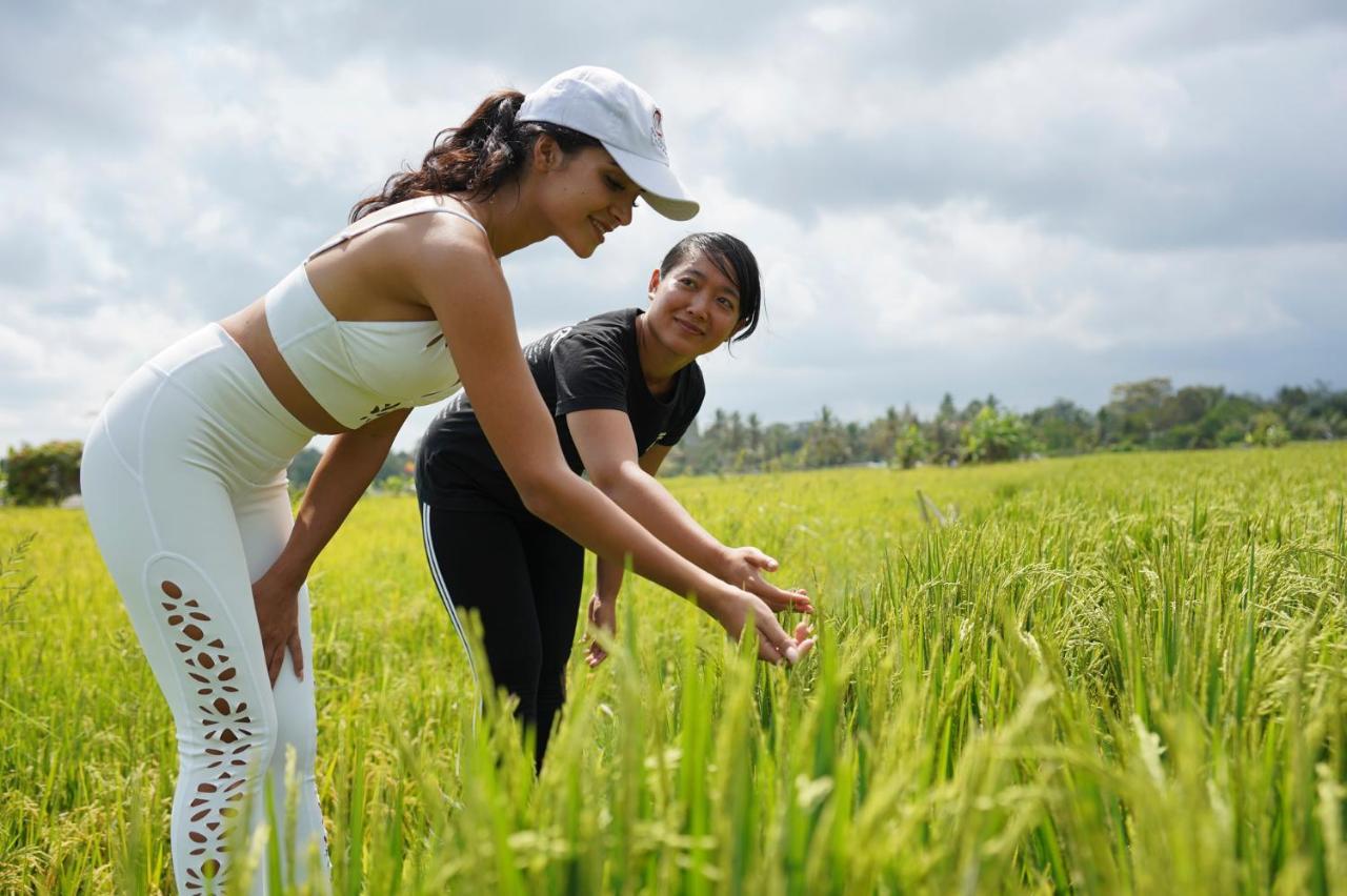 Puri Gangga Resort Ubud Тегаллаланг Экстерьер фото